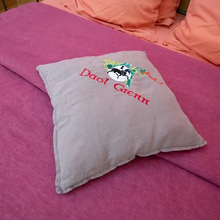 Daol Grenn B&B Pluvigner