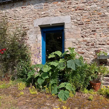 Daol Grenn 3* Pluvigner